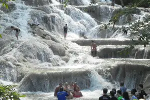 Tour image of Private Dunn's River Falls Jamaica