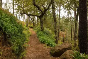 Tour image of Private Tour: Combo Expedition (Jeep Tour & Levada Walk)