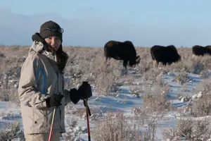 Tour image of Half-Day Grand Teton Wildlife Private Safari Tour