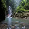 Image of Pack Animal Tours