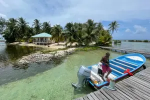 Tour image of Half Day Reef Snorkel and Wildlife Tour