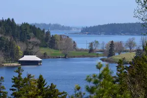 Tour image of 3 Hour Fiord, Mansions, Rocky Coastline