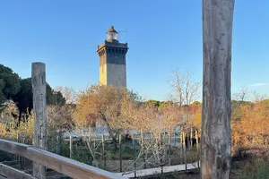 Tour image of Day EN Camargue Aigues-Mortes and St Marie DE la mer