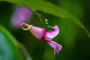 Tour image of 3-Day "Secrets Of Zhangjiajie" Deep Photography Tour