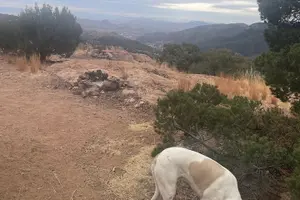 Tour image of 1 Hour Bisbee Mountain Food Tour