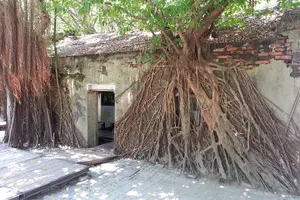 Tour image of Private 3-Day Southern Taiwan Tour (Tainan, Kaohsiung, Kenting)