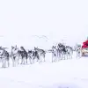 Image of Winter Sports