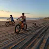 Image of Bike Rentals