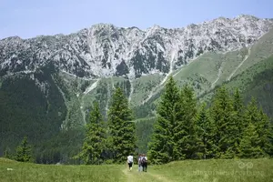Tour image of Private Full-Day Hiking Tour in Piatra Craiului National Park