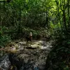 Image of Wildlife Watching