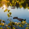 Image of Natural Attractions