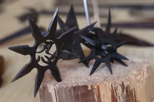 Tour image of Unlock the Secrets of Ninja : A Private Tour into Samurai Spirit