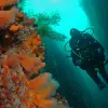 Image of Scuba Diving