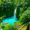 Image of Nature Walks
