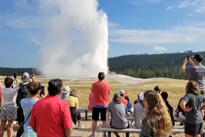 Tour image of Epic Yellowstone Private Tour