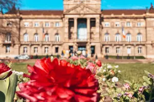 Tour image of Guided Walking Tour in Strasbourg between History and Curiosities