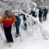 Image of Snowshoeing