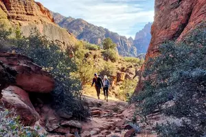 Tour image of Secret Petroglyphs Hike Adventure