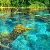 Image of Eco Tours