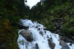 Tour image of Bhutan Tour Package