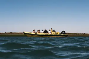 Tour image of From Faro: Ria Formosa Eco Tour guided by Marine Biologist