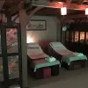 Image of Traditional Wellness