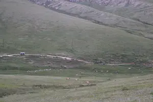 Tour image of Mongol Nomadic & Khustai National Park Private Full Day Tour
