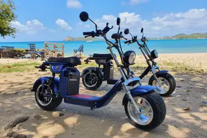 Tour image of St.Lucia Beaches and Backroads Tour by Electric Big-Wheel Scooter