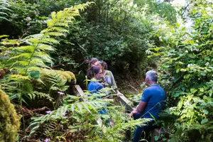 Tour image of Placenames & Their Amazing Stories: with a West Cork Picnic