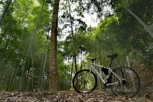 Tour image of Arashiyama Bamboo Forest & Hidden Gems Bike Tour (Early Bird)