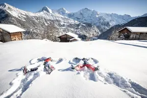 Tour image of Snowshoe Adventure in the Swiss Alps
