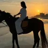 Image of Horseback Riding
