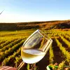Image of Wine, Beer & Spirits