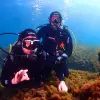 Image of Snorkeling