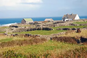 Tour image of Aran Island, Cliffs of Moher & Cruise tour from Galway. Guided.