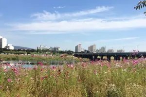 Image of South Korea