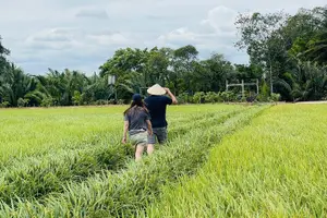 Tour image of Nature Reserve and Largest, Authentic Floating Market Experiences