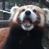 Image of Zoos & Wildlife Parks
