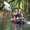 Image of Kayaking Tours
