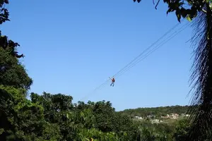 Tour image of Rainforest Zipline in Foothills of the National Rainforest