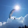 Image of In the Air
