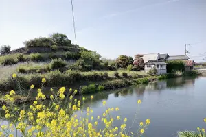 Tour image of Village to village walk: Japan's oldest road, Yamanobe ancient trail (Private)