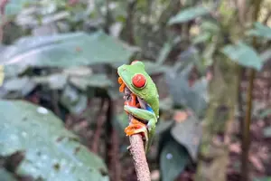 Tour image of Personalized Private Tour Experience - Costa Rica