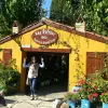 Image of Plantation Tours