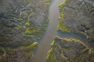 Tour image of Hilton Head Guided Kayak Tour