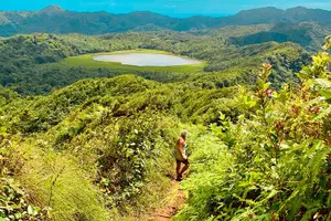 Tour image of Mount Qua Qua Hiking Adventure From Grand Etang/Lake