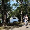 Image of Running Tours