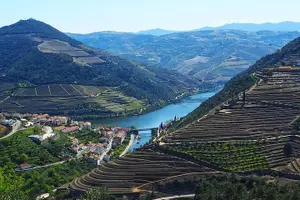 Tour image of Wine Venture and Boat Trip in Douro Valley from Porto