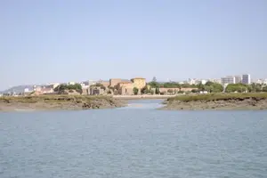 Tour image of Eco Boat Tour in the Ria Formosa Lagoon from Faro
