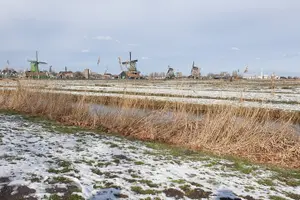 Tour image of Zaanse Schans & Volendam Small-Group Tour with Hotel Pickup